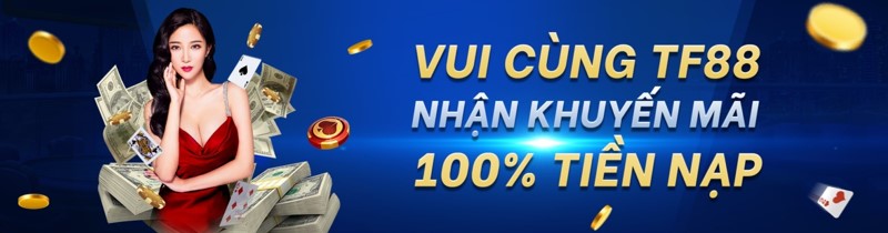 Hòa Mình vào Không Gian Giải Trí